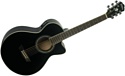 Washburn EA10B