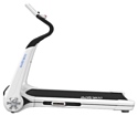 Evo Fitness Cosmo 3