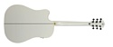 Washburn WD10SCEWH