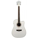 Washburn WD10SCEWH