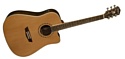 Washburn WD11SCE