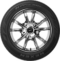 Nexen/Roadstone N'PRIZ RH7 225/60 R18 100H