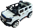 Electric Toys Mercedes Ener-G-Force