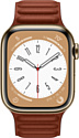 Apple Watch Series 8 45 мм (корпус из нержавеющей стали, кожаный ремешок)