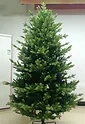 GreenTerra Ванкувер 2.1 м