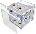Ginzzu V250 Ginzzu V250