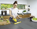 Karcher WV 6 Plus (1.633-510.0)