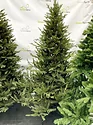 GreenTerra Норвегия (2.5м)