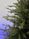 GreenTerra Норвегия (2.5м)