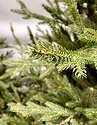 GreenTerra Норвегия (2.5м)