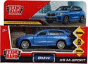 Технопарк BMW X5 M-Sport X5-12-BU