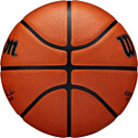 Wilson NBA Authentic Series Outdoor (5 размер)