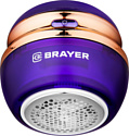 BRAYER BR5031