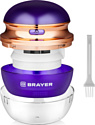 BRAYER BR5031