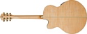 Washburn WJ40SCE