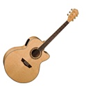 Washburn WJ40SCE