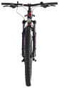 Cube Access WS Pro Allroad 29 (2019)