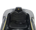 Chi Lok Bo Lamborghini Centenario (зеленый)