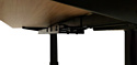 ErgoSmart Unique Ergo Desk 1380x800x18мм (альпийский белый/черный)