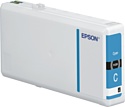 Epson C13T79024010