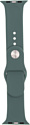Evolution AW40-S01 для Apple Watch 38/40 мм (pine needle green)