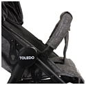 Pituso Toledo (2020) (серый)