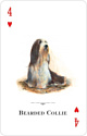 US Games Systems Dogs of the Natural World Playing Cards DWC54