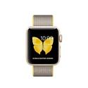 Apple Watch Series 2 38mm Gold with Woven Nylon (MNP32)