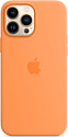 Apple MagSafe Silicone Case для iPhone 13 Pro Max (весенняя мимоза)
