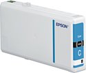 Аналог Epson C13T79024010