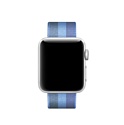 Apple из плетеного нейлона 38 мм (голубое озеро) (MPVX2)