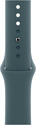 Apple Watch Series 10 LTE 46 мм (алюминиевый корпус, спортивный силиконовый ремешок M/L) Apple Watch Series 10 LTE 46 мм (алюминиевый корпус, спортивный силиконовый ремешок M/L)