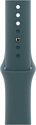 Apple Watch Series 10 LTE 46 мм (алюминиевый корпус, спортивный силиконовый ремешок M/L) Apple Watch Series 10 LTE 46 мм (алюминиевый корпус, спортивный силиконовый ремешок M/L)