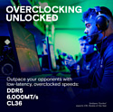 Crucial Pro Overclocking Edition CP2K16G60C36U5B