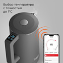 Redmond SkyKettle KM231S (серый)