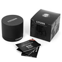 Citizen AR3073-06E