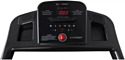 Carbon Fitness T306