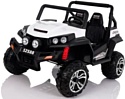 Wingo Buggy 4x4 Lux