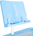 Anatomica Avgusta + стул + выдвижной ящик + подставка (клен/голубой)