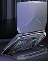 ICE COOREL N10 (черный) ICE COOREL N10 (черный)