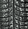 Michelin X-Ice 3 245/45 R20 99H RunFlat