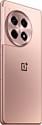 OnePlus Ace 3 12/256GB (китайская версия)