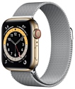 Apple Watch Series 6 GPS + Cellular 40mm Stainless Steel Case with Milanese Loop