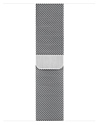 Apple Watch Series 6 GPS + Cellular 40mm Stainless Steel Case with Milanese Loop