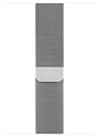 Apple Watch Series 6 GPS + Cellular 44mm Stainless Steel Case with Milanese Loop