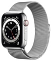 Apple Watch Series 6 GPS + Cellular 44mm Stainless Steel Case with Milanese Loop