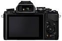 Olympus OM-D E-M10 Limited Edition Body