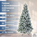 National Tree Company Сказка заснеженная СК/ЗСН-220 2.2 м