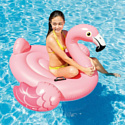 Intex Flamingo 57558