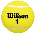 Wilson Championship Extra Duty WRT100101 (3 шт)